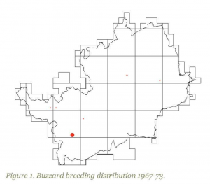 Buzzard map, Herts, 1967-73