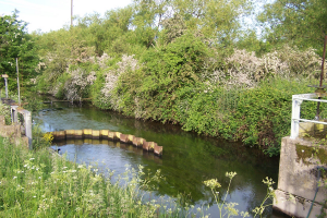 An area in the South Lagoons part of the Thames Water Works. (Roger Emmens)