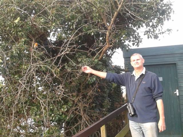 Alan Harris with Alan the Robin at the Draper Hide