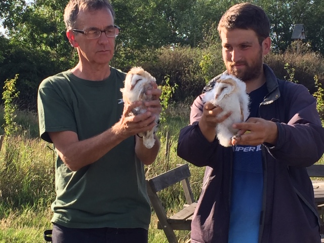 Gordon Duns and Daniel Whitelegg were the lucky ringers with these owlets