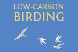 Low Carbon Birding