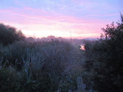 The Bund in the north of the Scrape seen at dawn