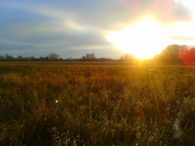 January sunset over the meadows. (Sarah Harris) Sunset over the Meadows