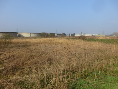 A disused part of the Works. (Roger Emmens) Old Sludge area of the Works