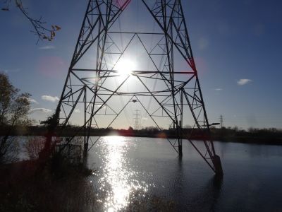 No. 12 Lagoon in the South Lagoons area with a duck trap at its base