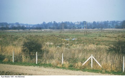 This view in 1961 is possibly of the Second Meadow, not yet developed into reedbed.